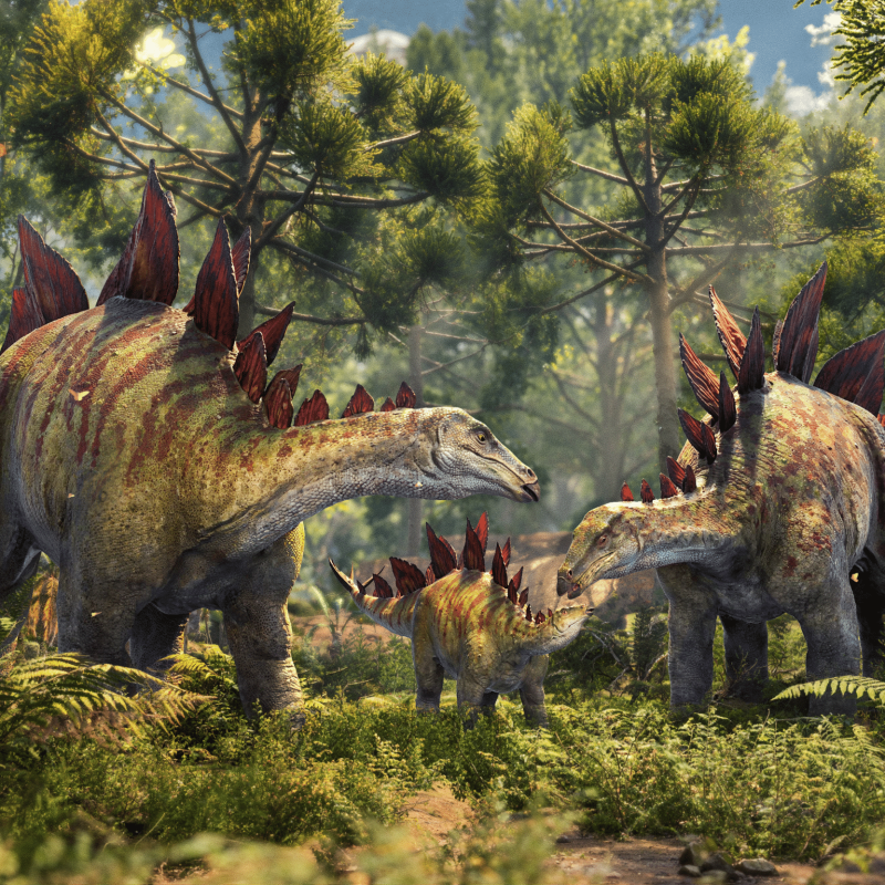 Screenshot_Stegosaurus