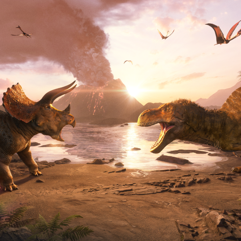 Screenshot_TrexVSTriceratops